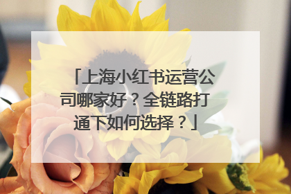上海小红书运营公司哪家好？全链路打通下如何选择？