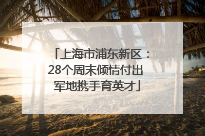 上海市浦东新区：28个周末倾情付出 军地携手育英才