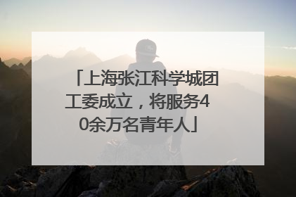 上海张江科学城团工委成立，将服务40余万名青年人