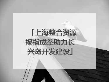 上海整合资源攥指成拳助力长兴岛开发建设