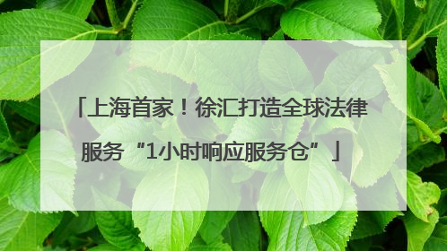 上海首家！徐汇打造全球法律服务“1小时响应服务仓”