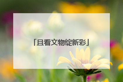 且看文物绽新彩