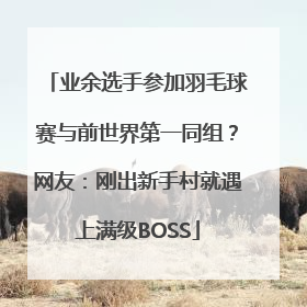 业余选手参加羽毛球赛与前世界第一同组？网友：刚出新手村就遇上满级BOSS