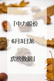 中力股份6月3日龙虎榜数据
