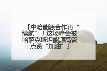 中哈能源合作再“续航”！这场峰会被哈萨克斯坦能源高管点赞“加油”