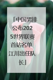 中国男排公布2025世界联赛首站名单 江川出任队长
