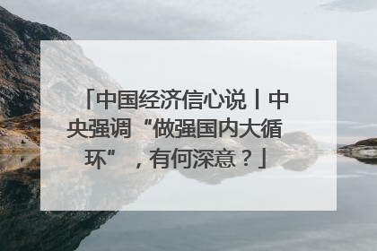 中国经济信心说丨中央强调“做强国内大循环”，有何深意？