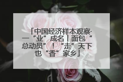 中国经济样本观察·一“业”成名丨面包“总动员”！“走”天下也“香”家乡