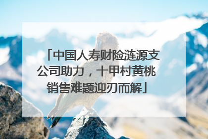 中国人寿财险涟源支公司助力，十甲村黄桃销售难题迎刃而解
