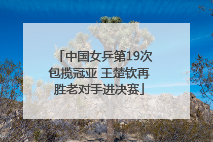 中国女乒第19次包揽冠亚 王楚钦再胜老对手进决赛