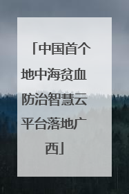 中国首个地中海贫血防治智慧云平台落地广西