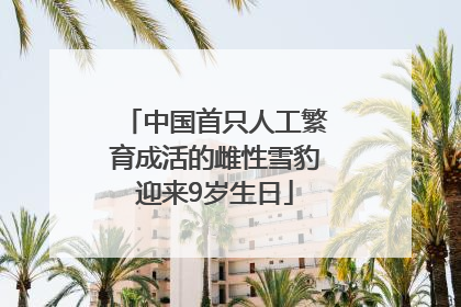 中国首只人工繁育成活的雌性雪豹迎来9岁生日