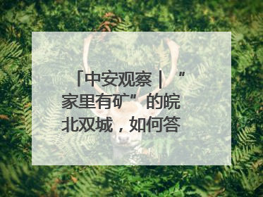 中安观察｜“家里有矿”的皖北双城，如何答好转型之问？