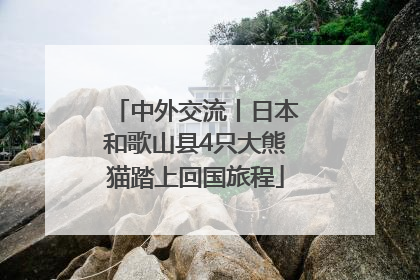 中外交流丨日本和歌山县4只大熊猫踏上回国旅程