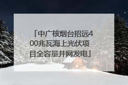 中广核烟台招远400兆瓦海上光伏项目全容量并网发电
