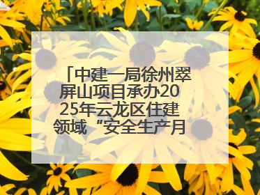 中建一局徐州翠屏山项目承办2025年云龙区住建领域“安全生产月”主题活动暨应急救援演练观摩会