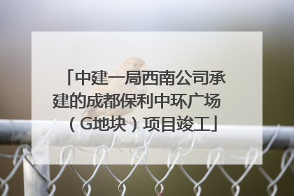 中建一局西南公司承建的成都保利中环广场（G地块）项目竣工