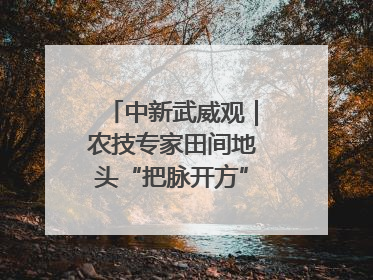 中新武威观｜农技专家田间地头“把脉开方”送“及时雨”