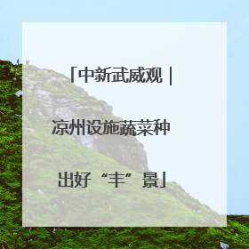 中新武威观｜凉州设施蔬菜种出好“丰”景