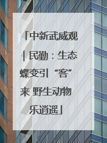 中新武威观｜民勤：生态蝶变引“客”来 野生动物乐逍遥