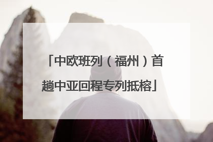 中欧班列（福州）首趟中亚回程专列抵榕