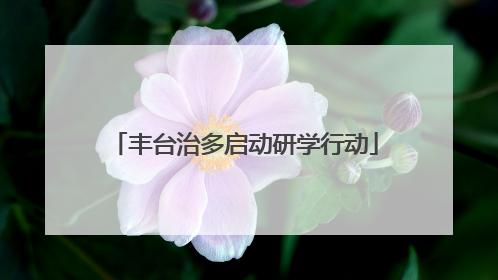 丰台治多启动研学行动