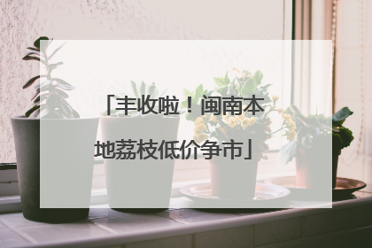 丰收啦！闽南本地荔枝低价争市