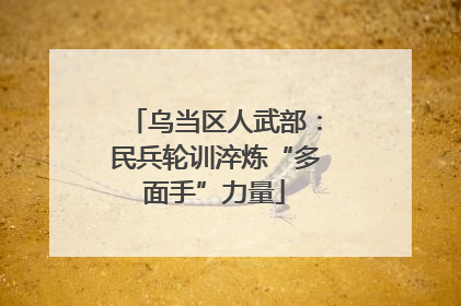 乌当区人武部：民兵轮训淬炼“多面手”力量