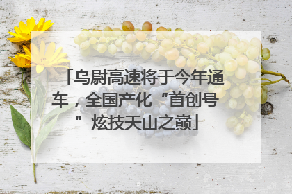 乌尉高速将于今年通车，全国产化“首创号”炫技天山之巅