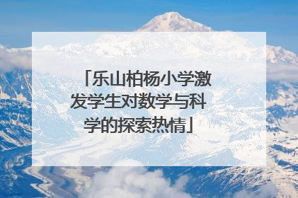 乐山柏杨小学激发学生对数学与科学的探索热情