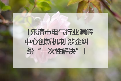 乐清市电气行业调解中心创新机制 涉企纠纷“一次性解决”