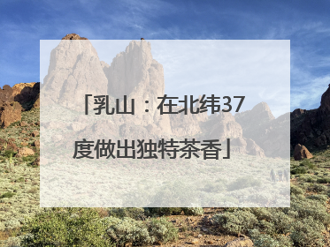 乳山：在北纬37度做出独特茶香