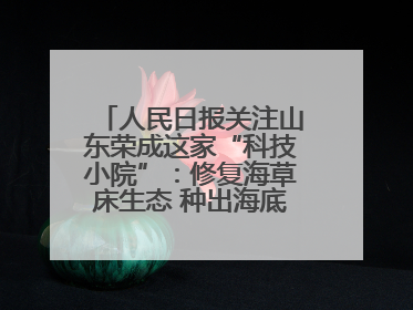 人民日报关注山东荣成这家“科技小院”：修复海草床生态 种出海底“森林”