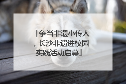争当非遗小传人，长沙非遗进校园实践活动启幕