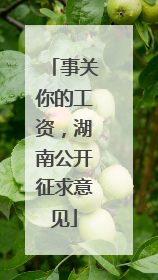 事关你的工资，湖南公开征求意见
