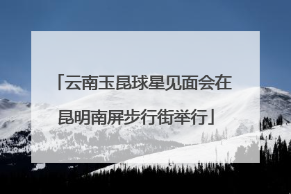 云南玉昆球星见面会在昆明南屏步行街举行