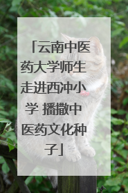 云南中医药大学师生走进西冲小学 播撒中医药文化种子