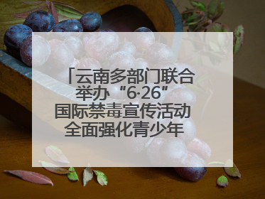 云南多部门联合举办“6·26”国际禁毒宣传活动 全面强化青少年防毒意识