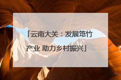 云南大关：发展筇竹产业 助力乡村振兴