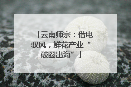 云南师宗：借电驭风，鲜花产业“破圈出海”