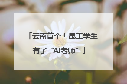 云南首个！昆工学生有了“AI老师”