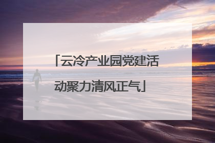 云冷产业园党建活动聚力清风正气