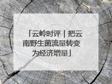 云岭时评｜把云南野生菌流量转变为经济增量
