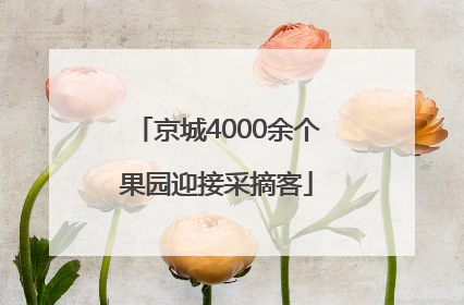 京城4000余个果园迎接采摘客