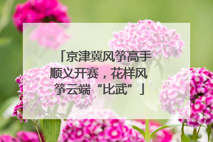 京津冀风筝高手顺义开赛，花样风筝云端“比武”