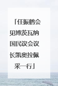 任振鹤会见博茨瓦纳国民议会议长凯奥拉佩采一行