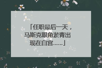 任职最后一天，马斯克眼角淤青出现在白宫……