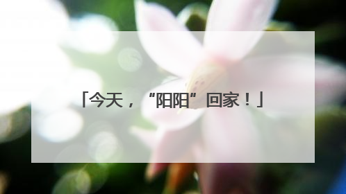 今天，“阳阳”回家！