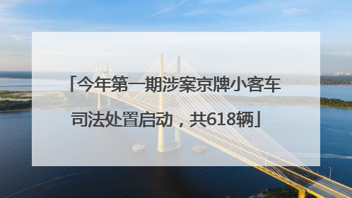 今年第一期涉案京牌小客车司法处置启动，共618辆