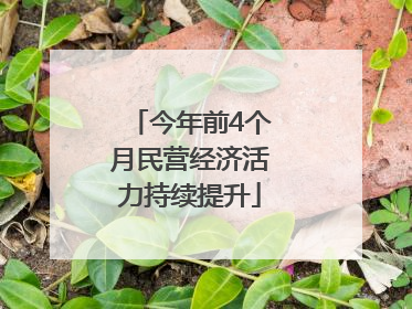 今年前4个月民营经济活力持续提升